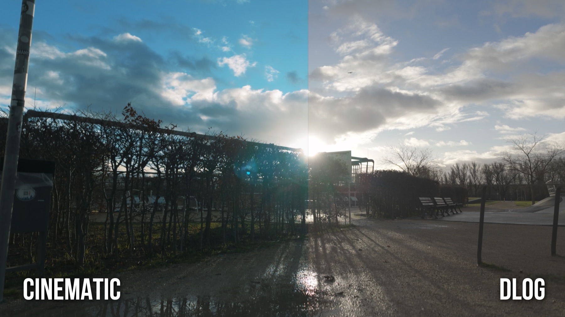 Cinematic LUT auf DJI Osmo Pocket 3