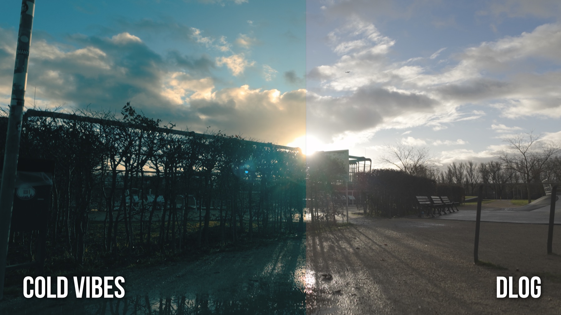 Cold Vibes LUT auf DJI Osmo Pocket 3