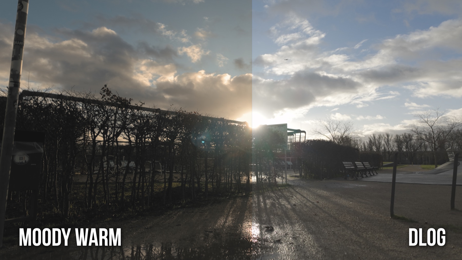 Moody Warm LUT auf DJI Osmo Pocket 3