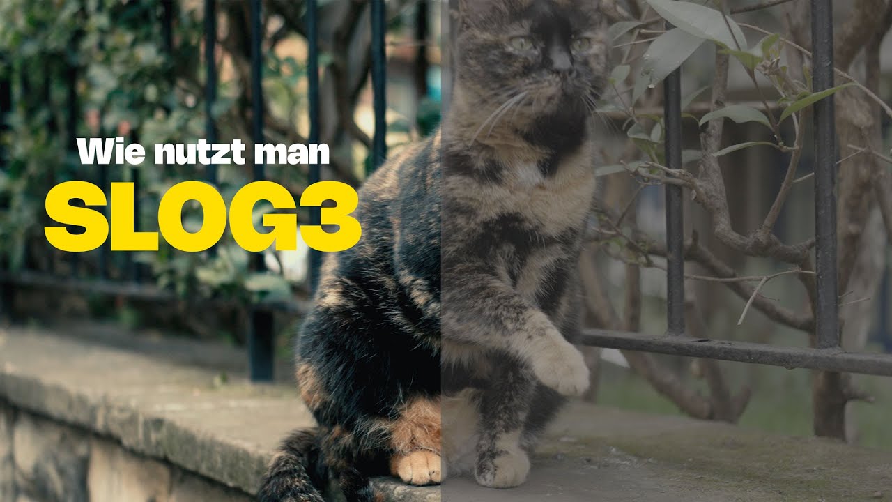 Thumbnail: S-Log3 richtig belichten & Rauschen vermeiden (Sony)